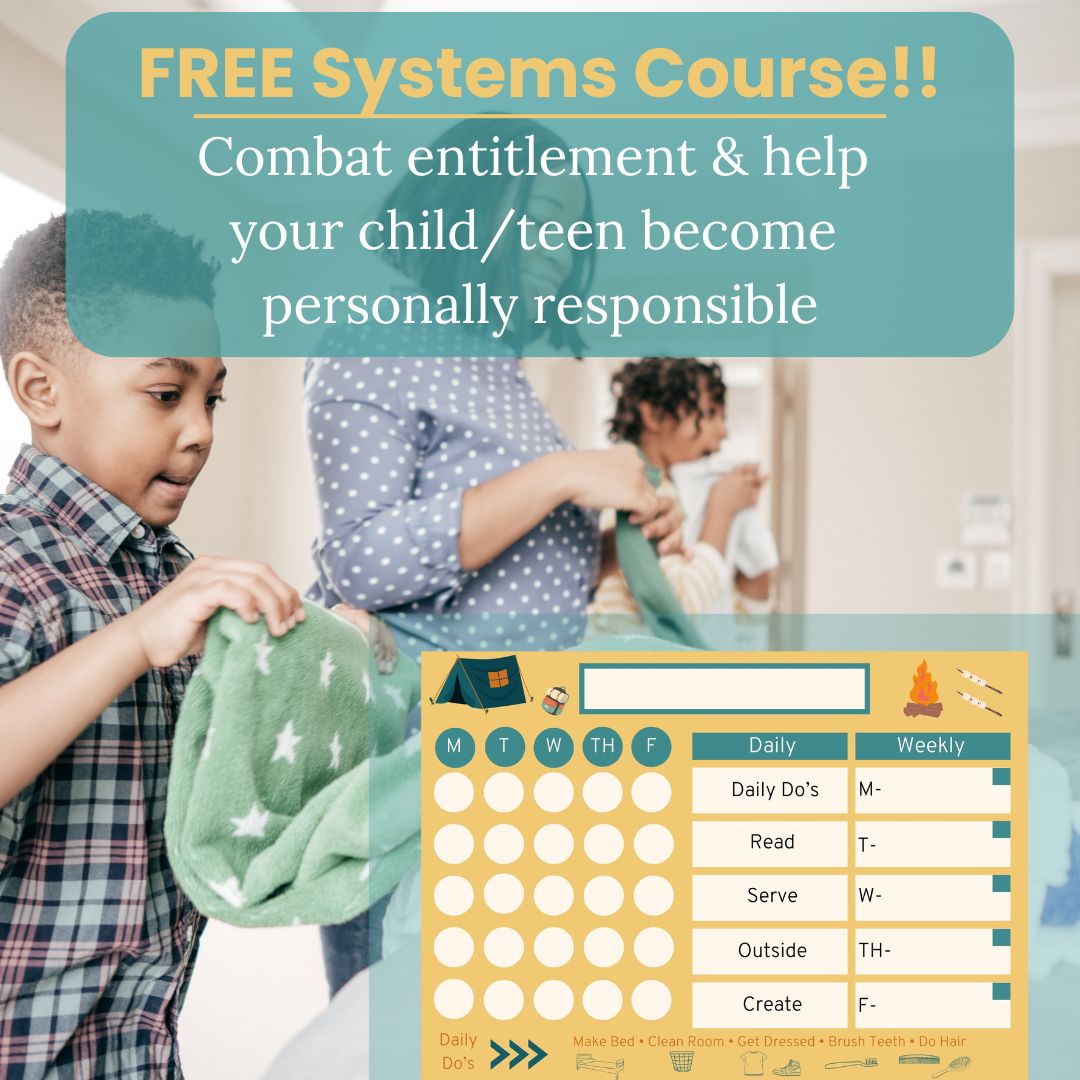FREE Systems Course
